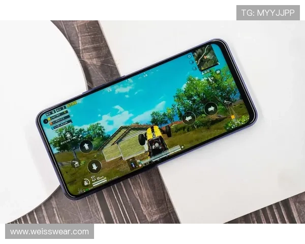 乐鱼电子真人直播用户体验分享真实玩家的游戏体验与技巧提升助你轻松获胜