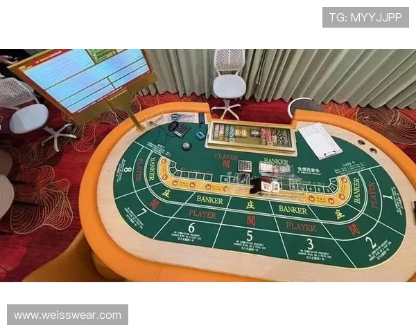 提升百家乐游戏胜率的秘密武器——百家乐路单记录器的使用技巧与实战经验