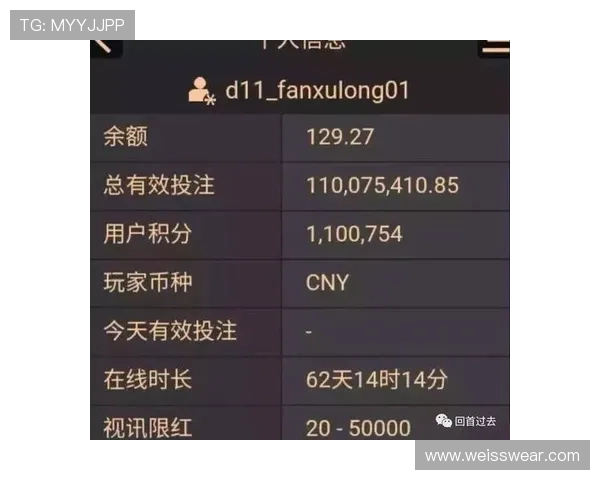 全面解析AG百家乐游戏的规则与技巧助你在赌场中稳操胜券